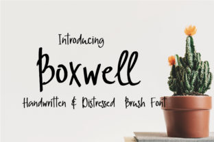 Boxwell: A Handwritten Font with Editorial Soul