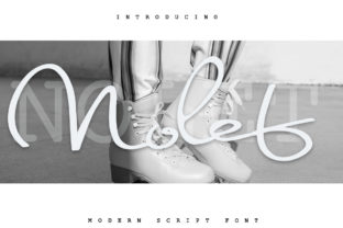 Nolet: A Script Font That Elevates Your Web Design