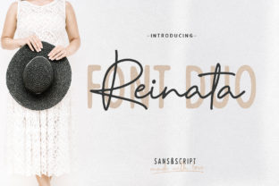 Reinata Duo: A Font That Feels Like a Warm Welcome