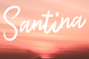 Santina Font Review: A Handwritten Typeface That Elevates Brand Campaigns
