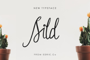 Sild Font: Elevating Campaign Design with Handwritten Elegance